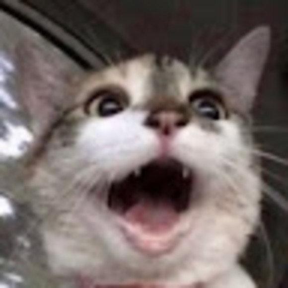 Meet your Posher, Stephanie - Picture 1 of 1